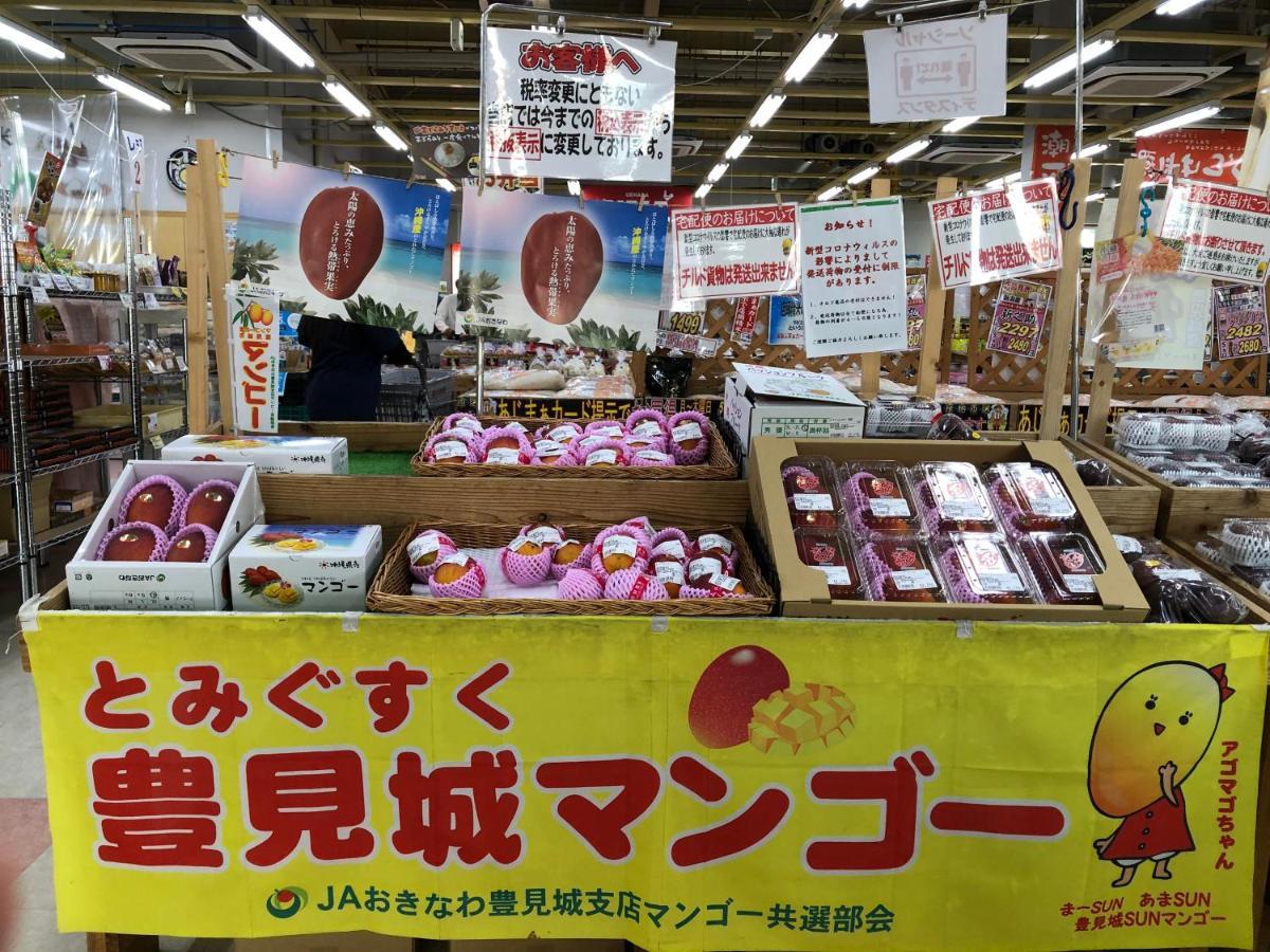 豊見城市Terracerin Yn22アパートメント エクステリア 写真